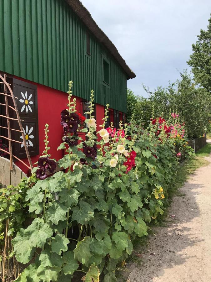 Toepferweg 06 Ferienwohnung Tine Аренсгоп Екстер'єр фото